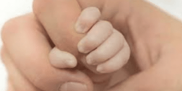 Child Abduction Attempt Foiled