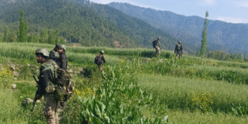 175 Suspects Detained