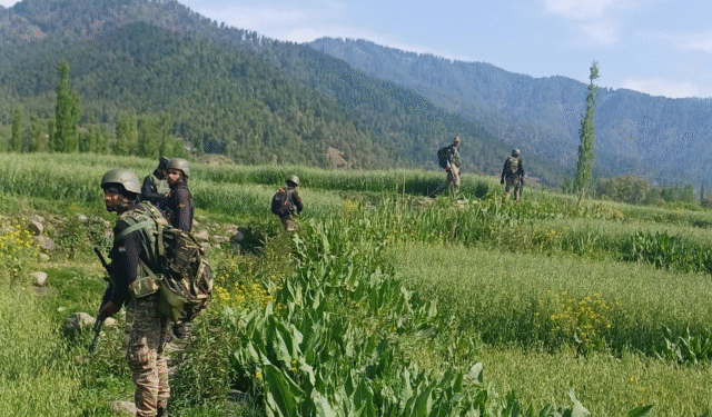 175 Suspects Detained
