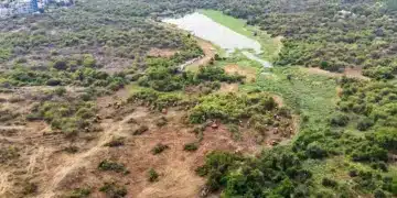 Hyderabad University