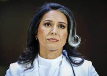 Tulsi Gabbard