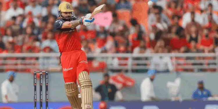 Virat Kohli IPL Record