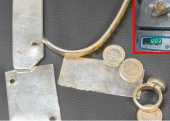 Gold Smuggling Incident Delhi Airport