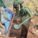 Maoist Bunkers Found