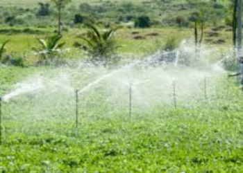 Modernization of Irrigation and Water Management