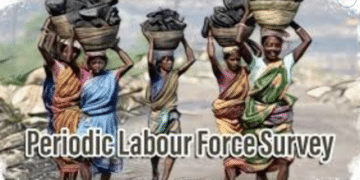 Employment Trends 2024