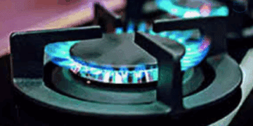 Domestic Natural Gas Allocation Policy