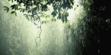 Odisha weather forecast