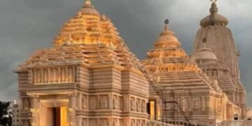 Nabakalebara wood controversy