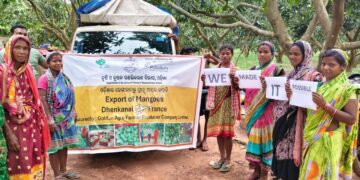 Odisha mango exports