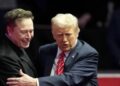 Elon Musk deletes Trump-Epstein tweet