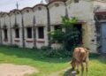 Govt Quarters Eviction in Bhubaneswar