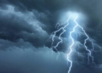Lightning kills bullocks in Nuapada
