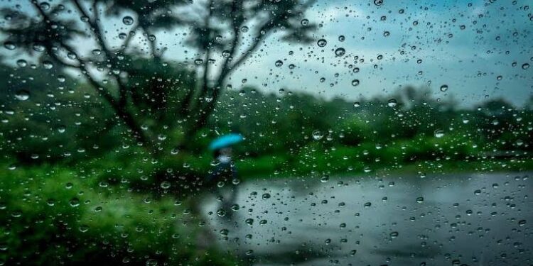 Odisha rainfall