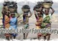 PLFS 2025 labour force survey