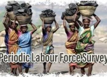 PLFS 2025 labour force survey