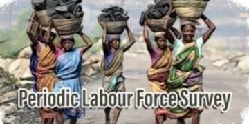 PLFS 2025 labour force survey