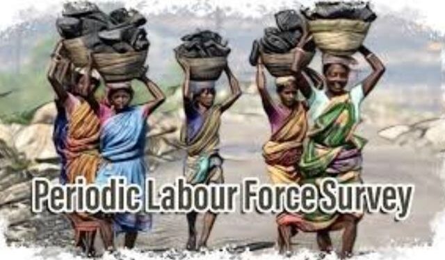 PLFS 2025 labour force survey