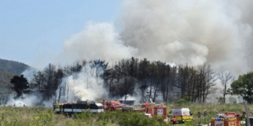 South Korean Navy Plane Crash