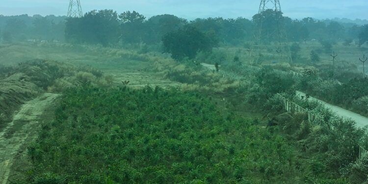 Vedanta Aluminium biodiversity initiatives