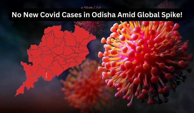 Odisha Covid Preparedness