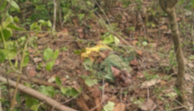 Keonjhar Elephant Attack