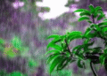 Odisha monsoon forecast