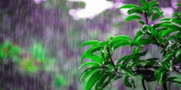 Odisha monsoon forecast
