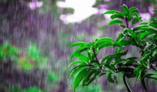 Odisha monsoon forecast