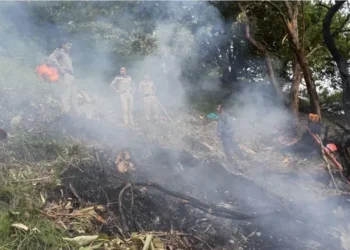Kedarnath helicopter crash