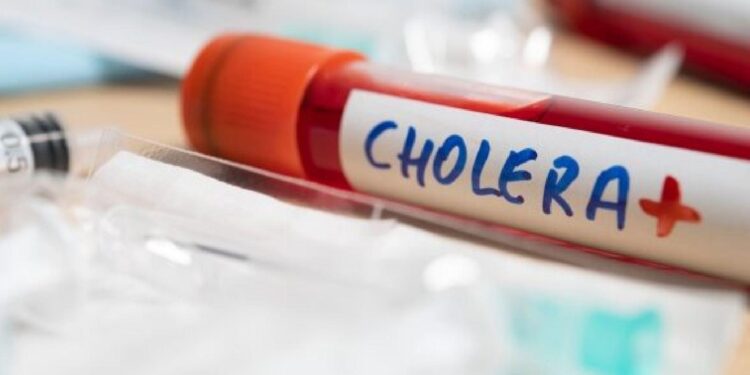Cholera