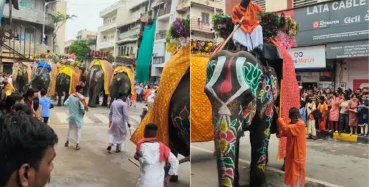 Elephant runs