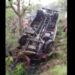 Bus Falls into Gorge