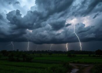 IMD Issues Yellow Warning for Thunderstorms, Gusty Winds in Odisha Districts
