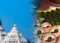 Modak theft