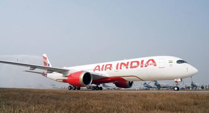 Air India Delhi-Pune flight bird hit