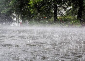 Odisha rainfall