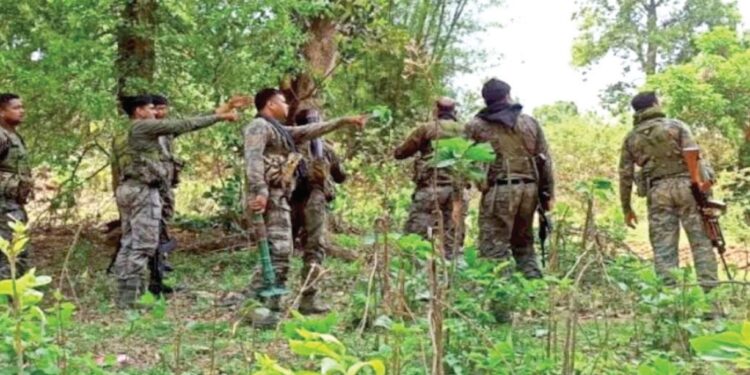 7 Maoists Killed