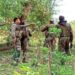 Maoist Hideout Busted