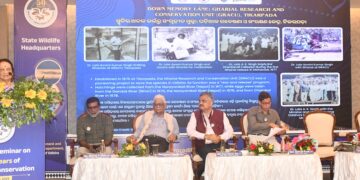 Crocodile conservation