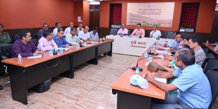 Odisha Releases Climate-Resilient Maize, Mustard, and Rice Varieties to Boost Farmer Income