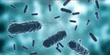 Bhadrak diarrhoea outbreak