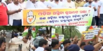 Eggs and Tomatoes Protest