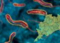 Diarrhoeal Situation Across Odisha