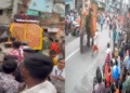 Ahmedabad Rath Yatra elephant scare