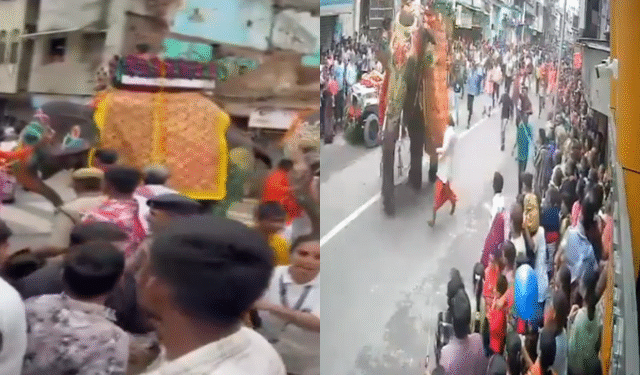 Ahmedabad Rath Yatra elephant scare