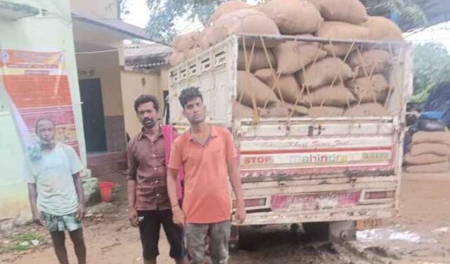Illegal paddy transportation