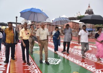 Rath Yatra chariot construction