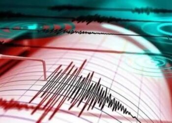 Alaska earthquake tsunami warning