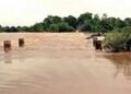 Odisha flood relief